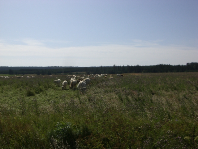 Bad Lauterberg 2009 076